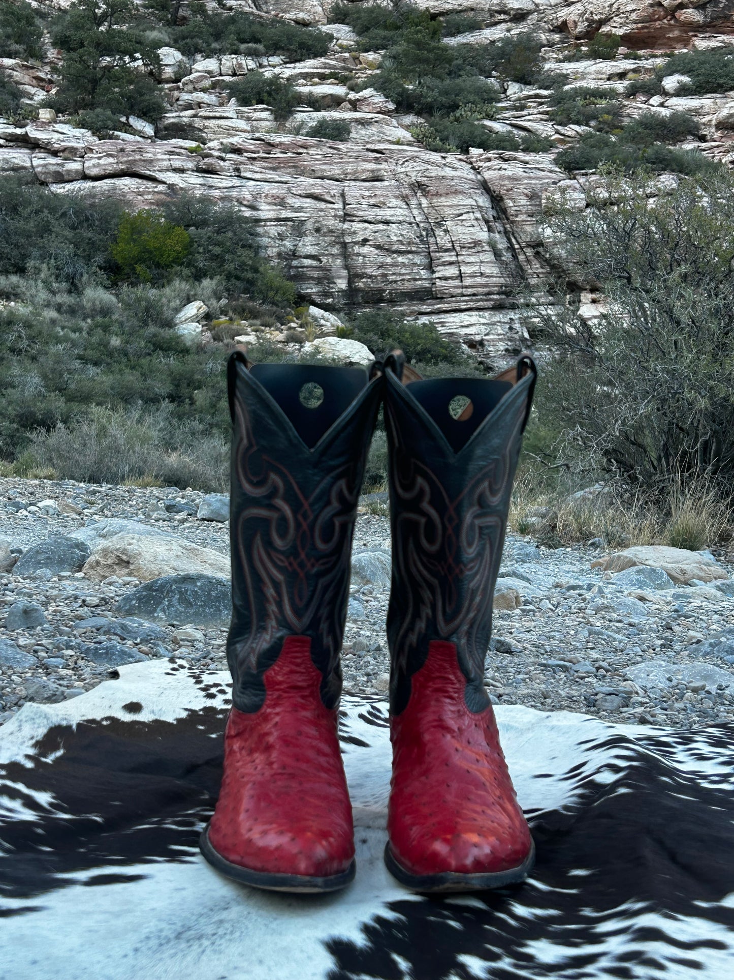 Tony Lama Full Quill Ostrich Boots