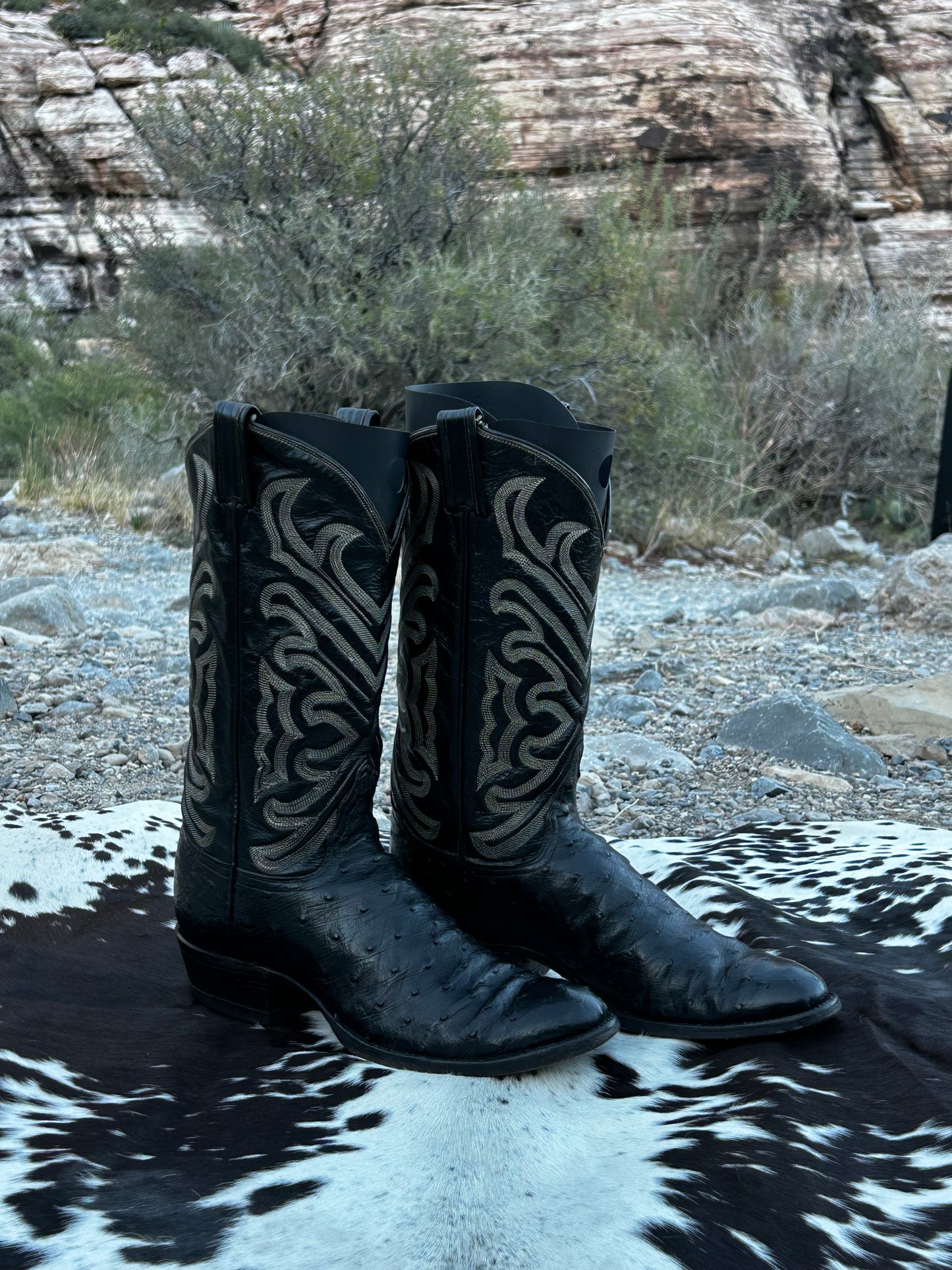 Tony Lama El Ray Full Quill Ostrich Skin Cowboy Boots (Gold Label)