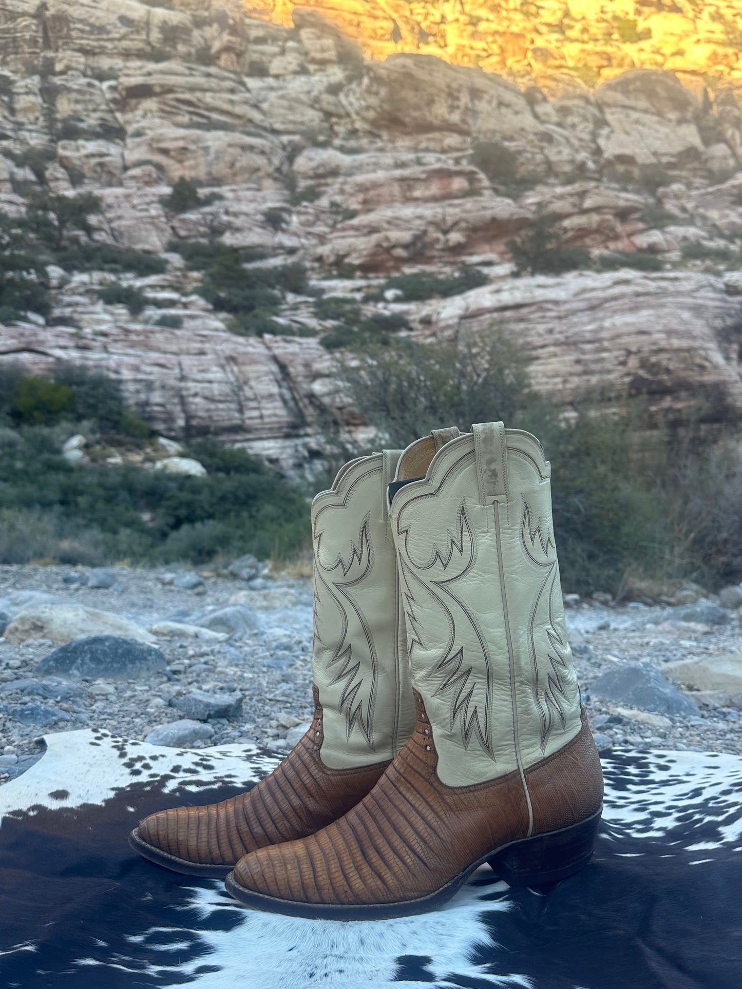 Rios Of Mercedes Teju Lizard Skin Cowboy Boots