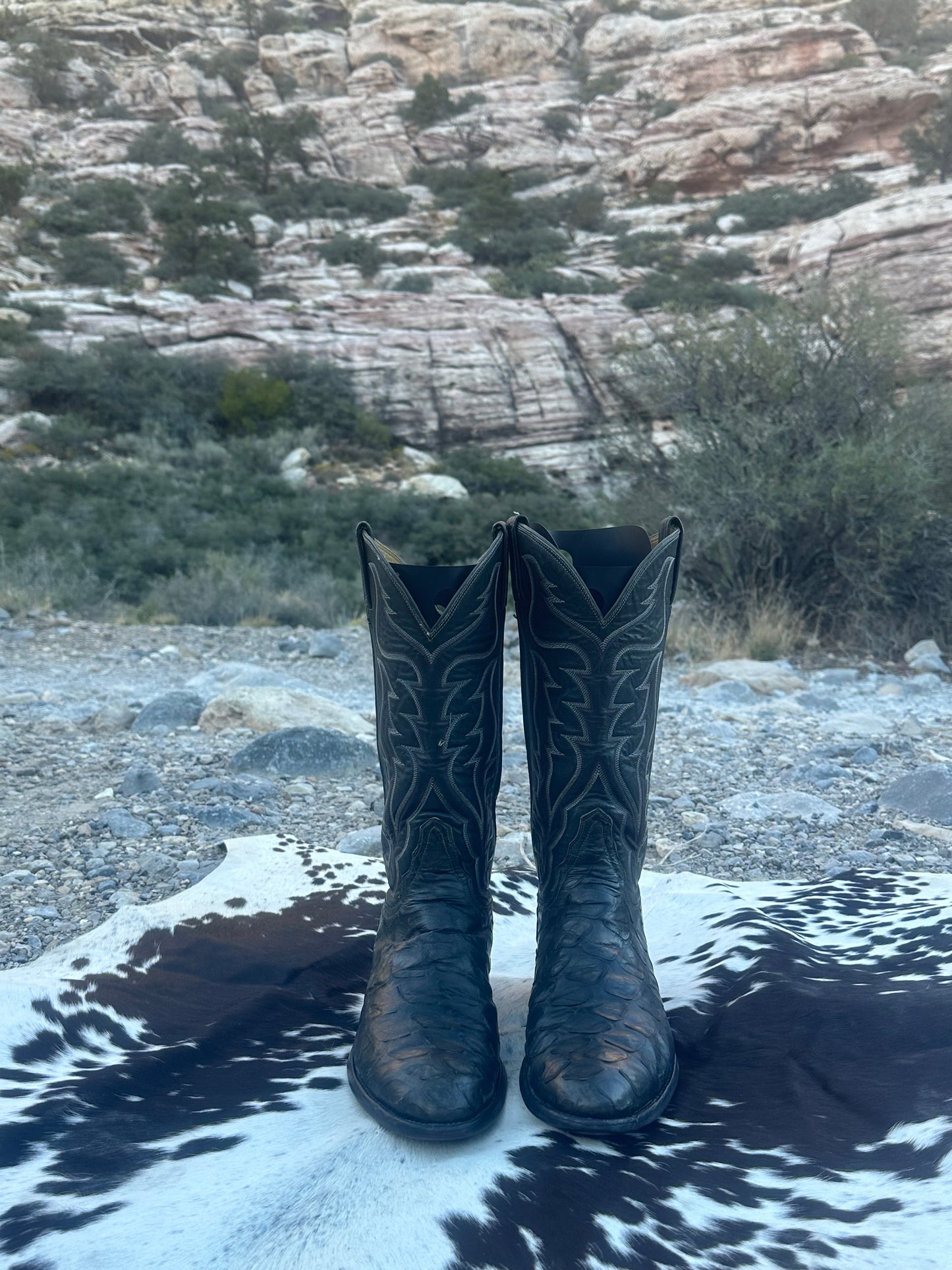 Tony Lama Pre-Ban Anteater Cowboy Boots (Gold Label)