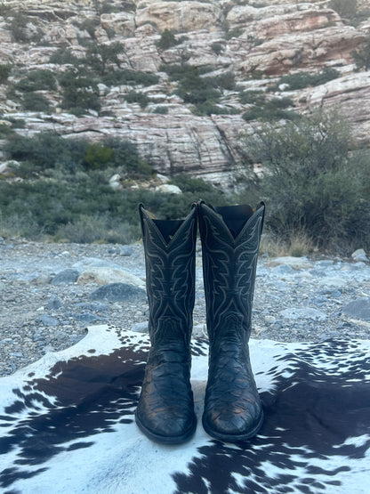 Tony Lama Pre-Ban Anteater Cowboy Boots (Gold Label)