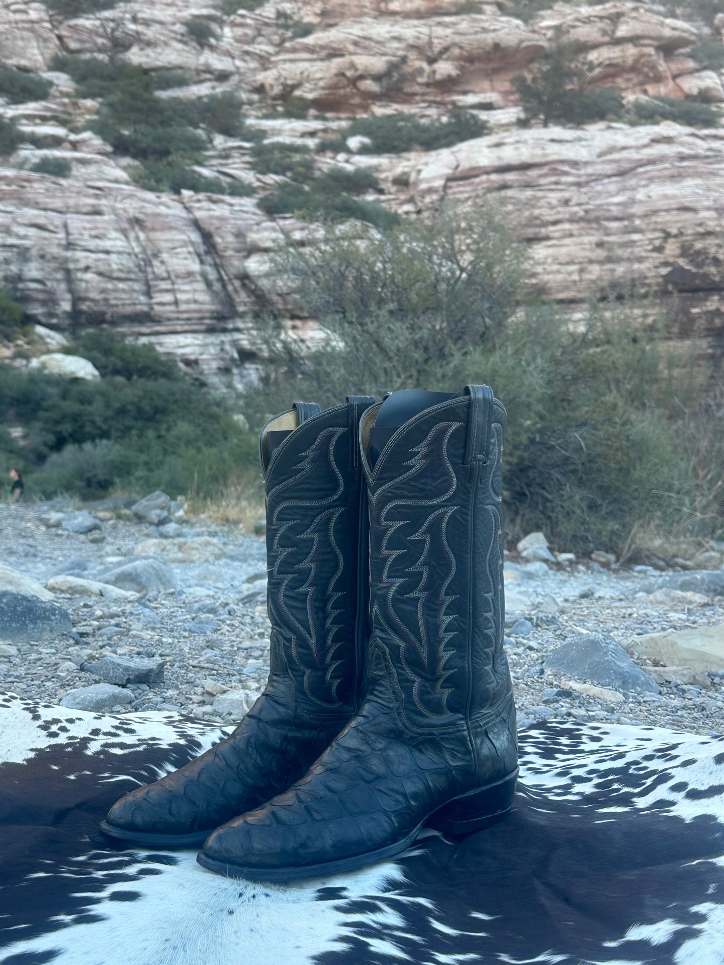 Tony Lama Pre-Ban Anteater Cowboy Boots (Gold Label)